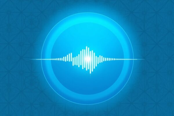 Bolna's India-focused voice orchestration platform enables seamless integration and management of multiple AI voice technologies